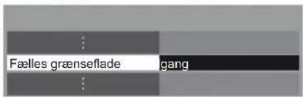 Fælles grænseflade gang