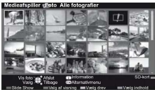 Medieafspiller Foto Alle fotografier Vis foto Afslut Information SD-kort Vælg Tilbage Alternativmenu Slide Show Valg af visning Vælg drey Vælg indhold