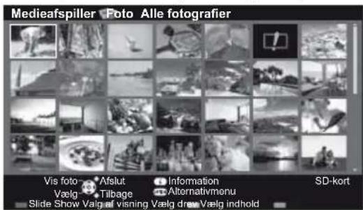 Medieafspiller Foto Alle fotografier Vis foto Afslut Information SD-kort Vælg Tilbage Alternativmenu Slide Show Valg af visning Vælg drew Vælg indhold