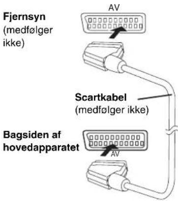 Fjernsyn (medfølger ikke) SCartkabel (medfølger ikke) Bagsiden af hovedapparatet AV AV