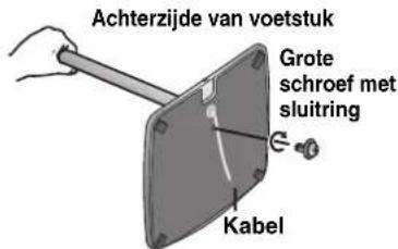 Achterzijde van voetstuk Grote schroef met sluitring Kabel