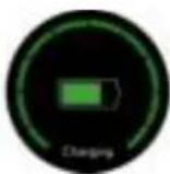 DENVER SW-450 - Charging - 4