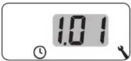1.01 ①