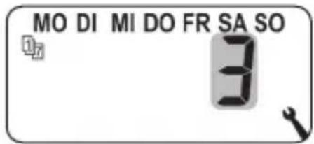 MO DI MI DO FR SA SO 17 3