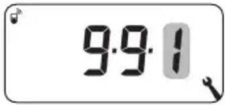 9:9:1