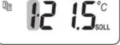 12 1.5°C SOLL