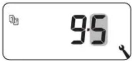 0.3 9.5