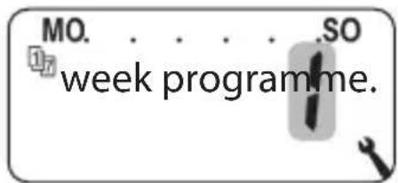 MO. . . . . . SO week programme.