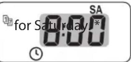 SA for Saturday 8:00