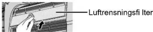 Luftrensningsfi Iter