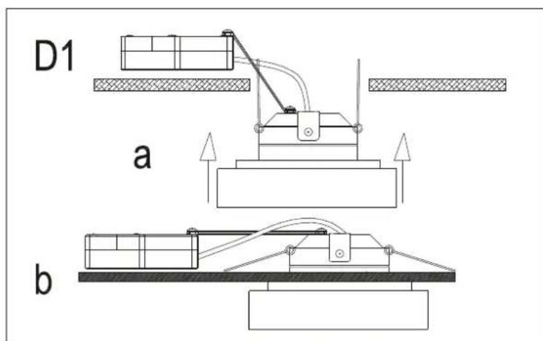 D1 a b
