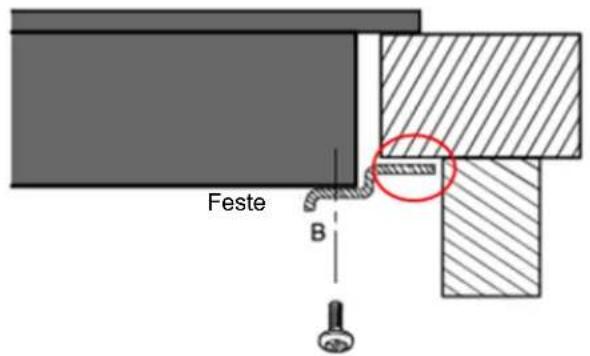 Feste B