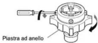 Piastra ad anello