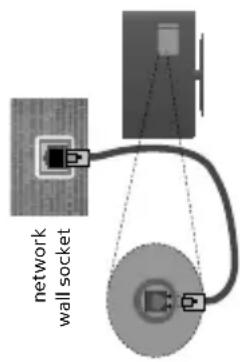 network wall socket