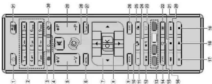 1 2 3 4 5 6 7 8 9 0 1 2 3 +V -V +P -P 31 30 29 28 27 7 8 9 10 11 12 13 14 15 16 BACK EXIT 26 25 24 23 22 21 20 17 18 19