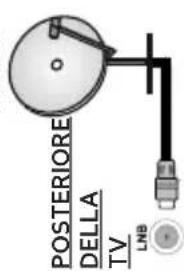 POSTERIORE DELLA TV LNB