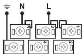 N L 5 3 1 4 2