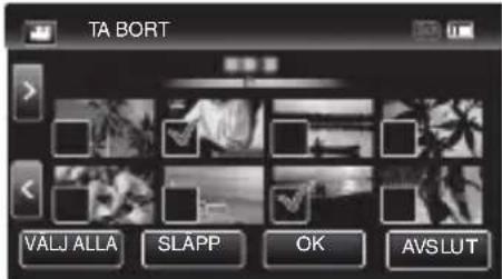 TA BORT VALJ ALLA SLAPP OK AVSLUT