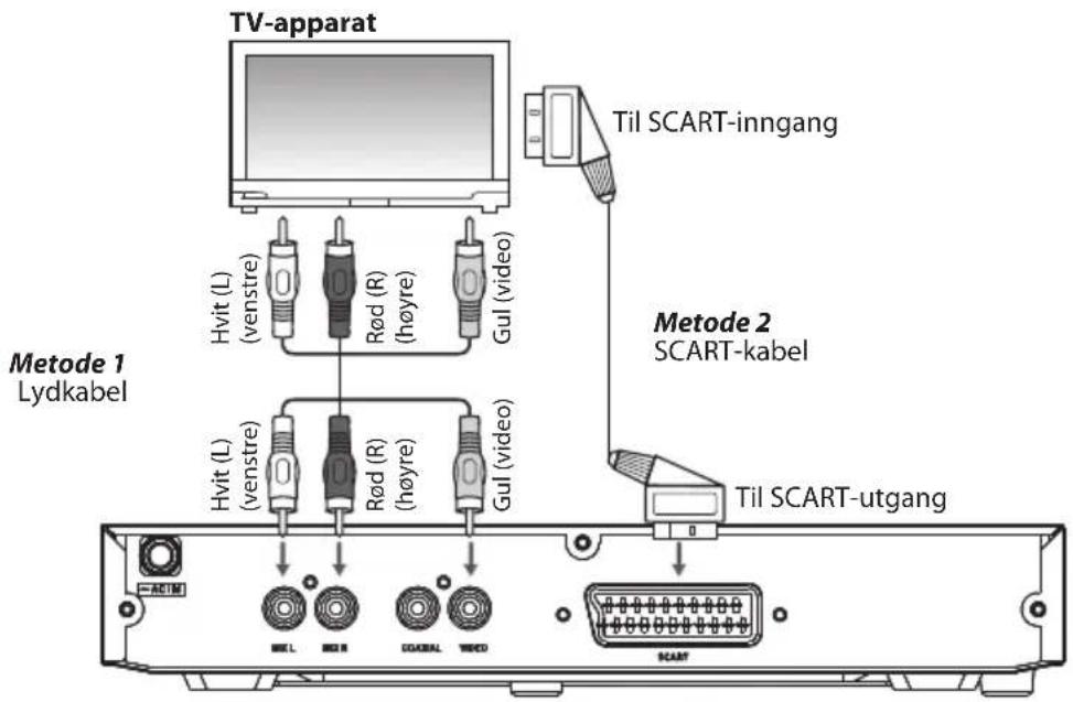 MATSUI M1DVD11E - Lyd/video-tilkoplinger - 1