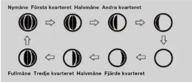 Biltema 84-0869 - Månfaser - 1