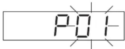 P01