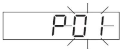 P01