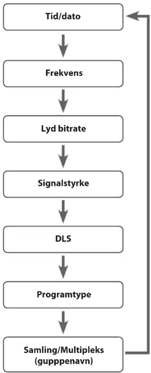 Sandstrøm SVDRB12E - Programtype - 1