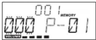001 MEMORY 001 P-01 VOLUME