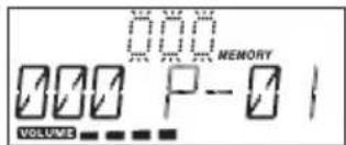 000 MEMORY 000 P-0 1 VOLUME