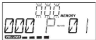 000 MEMORY 000 P-0 1 VOLUME