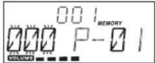 001 MEMORY 001 P-01 VOLUME