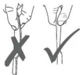 Diagram showing two hand-drawn plant branches with X and ✓ symbols indicating different root positions or conditions.