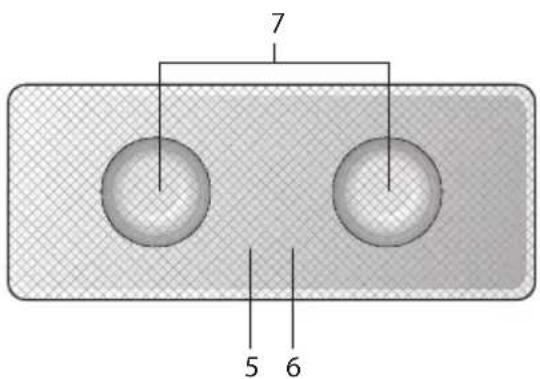 7 5 6