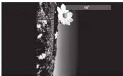 Sandstrøm S74PD11E - Afspilning af MPEG4/JPEG Billede-CD - 2