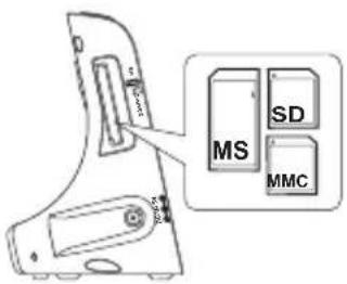 MS SD MMC