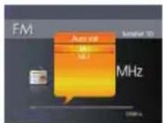 FM Audio level 100 MHz 100kHz