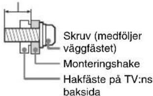 Skruv (medföljer väggfästet) Monteringsshake Hakfäste på TV:ns baksida