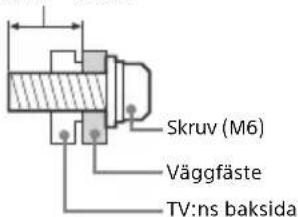 Skruv (M6) Väggfäste TV:ns baksida