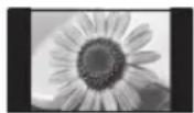 PANASONIC Viera TX-P50XT50Y - Undlad at vise stillestående dele af billedet i længere tid - 1