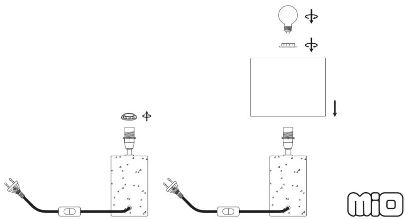Diagram illustrating a circuit setup with two tanks, light bulbs, and a box, labeled 'Mio' at the bottom.
