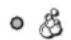 INDESIT IWC 8168 (SK) - Laufende Programmphase - 1