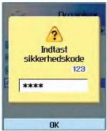 Indtast sikkerhedskode 123 **** OK