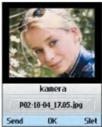 kamera P02-10-04_17.05.jpg Send OK Slet