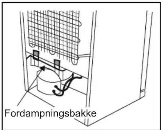 Fordampningsbakke