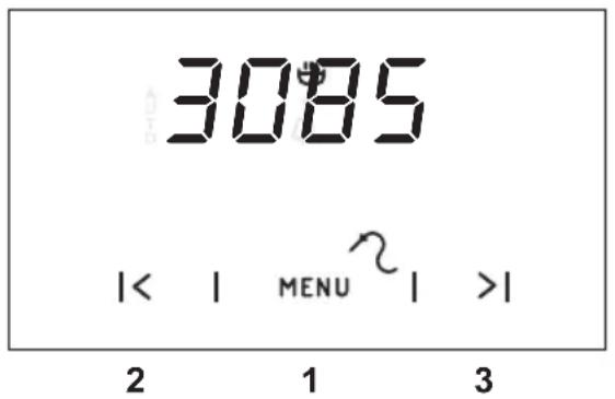 GRAM CC 56551 - Stegetermometer - 1