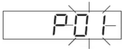 P01-