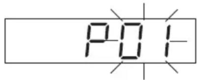 P01-