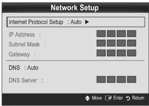 Network Setup Internet Protocol Setup : Auto ▶ IP Address : Subnet Mask : Gateway : DNS : Auto DNS Server :