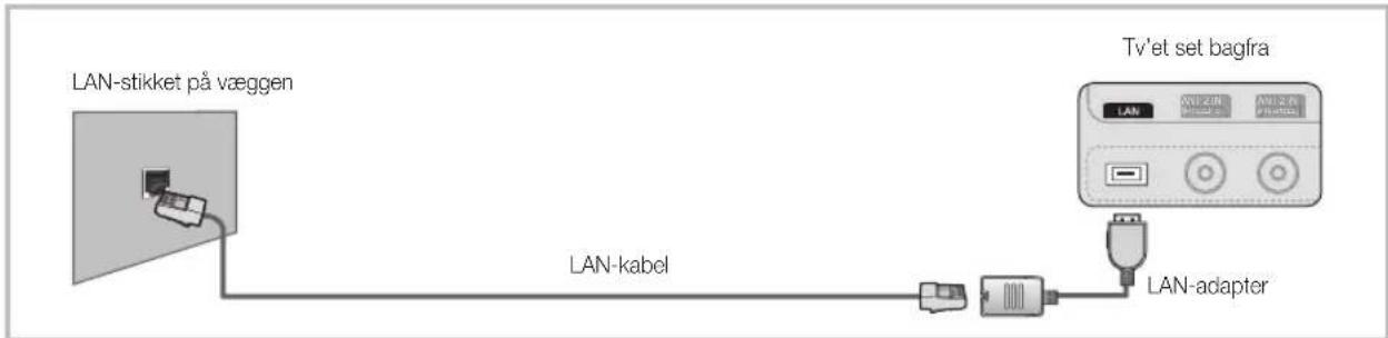 LAN-stikket på væggen LAN-kabel TV'et set bagfra LAN LAN-adapter