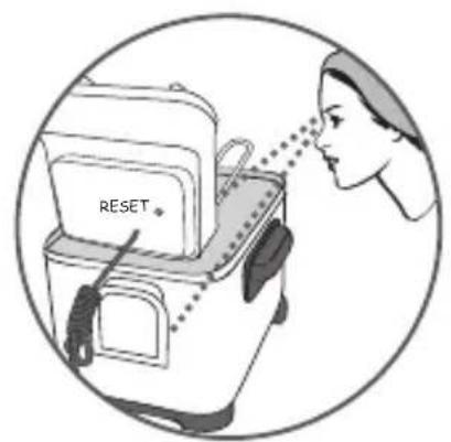 RESET